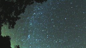 Perseidy, neboli ´padající hvězdy´ lze na obloze nejlépe pozorovat kolem 12. srpna.