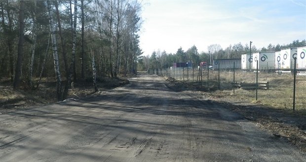 Hahle lokalita na plzeňské Valše měla zůstat neporušená pro chráněné obojživelníky.