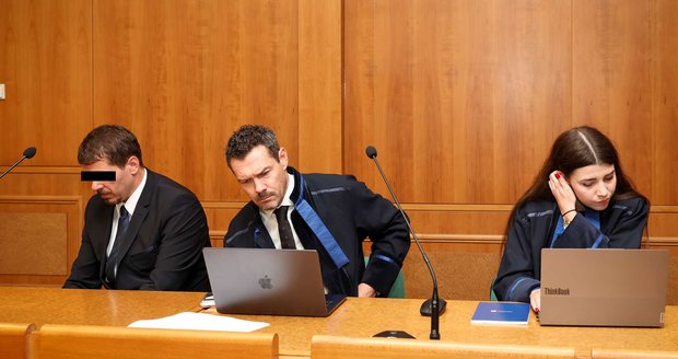 Správce obory popravoval kočky v pastích: Hrozí mu podmínka! Myslivec je považoval za „škodnou"