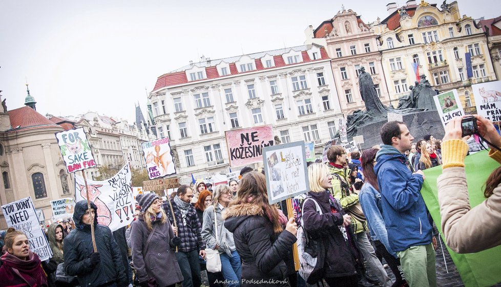 Lidé chtějí zákaz farem