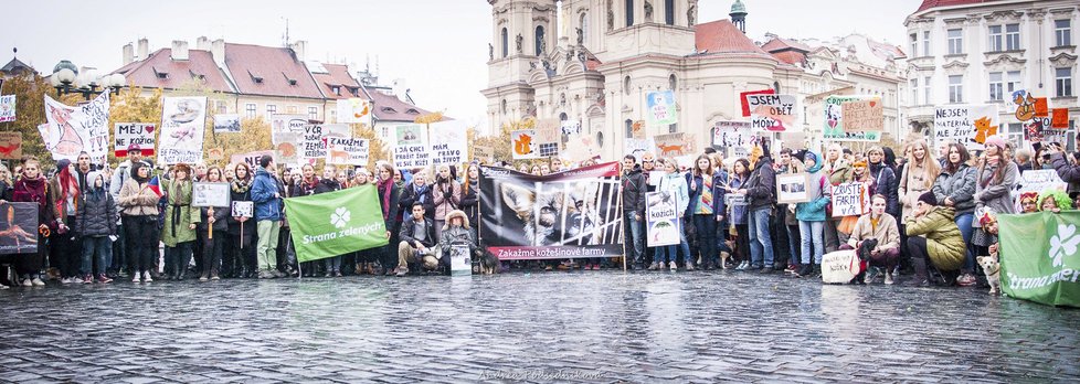 Stovky lidí se sešly, aby ukončily tohle vraždění