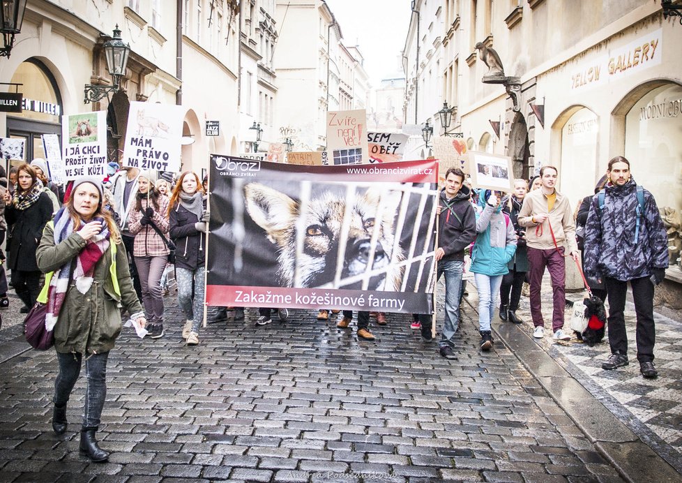 Obránci zvířat uspořádali pochod, na který přišlo více než 600 lidí