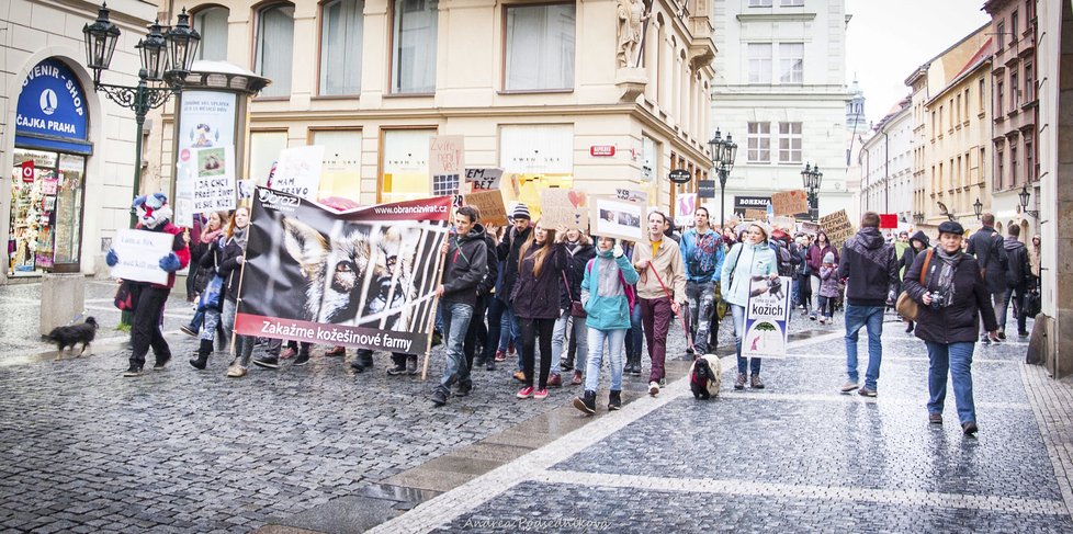 Stovky lidí protestovaly