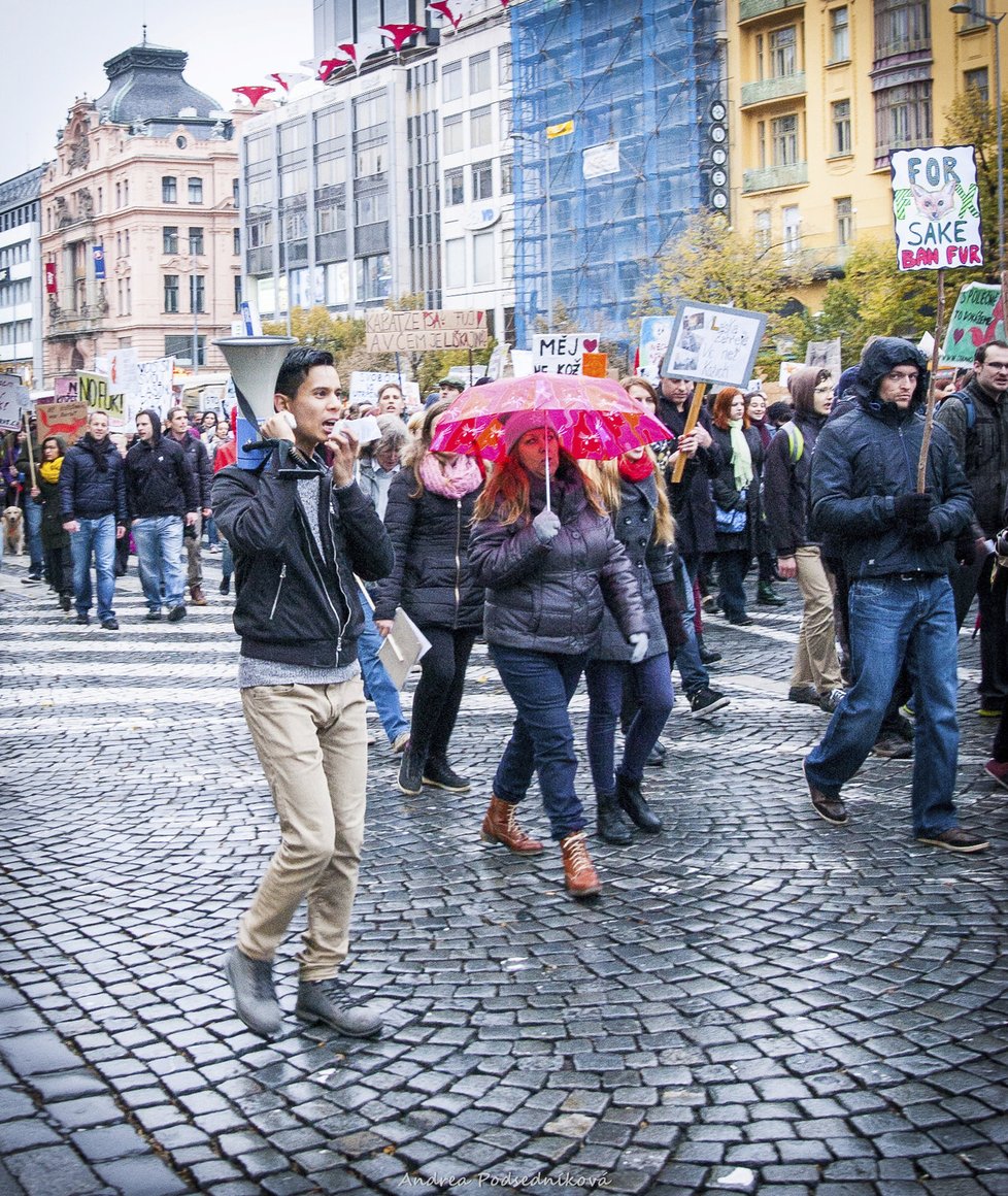 Průvod vyšel ve dvě hodiny ze Střeleckého ostrova