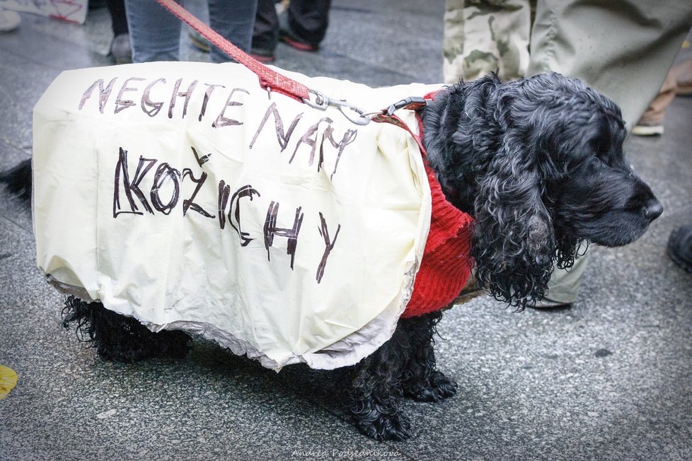 Na demonstraci proti kožešinám dorazilo něco přes 600 lidí.