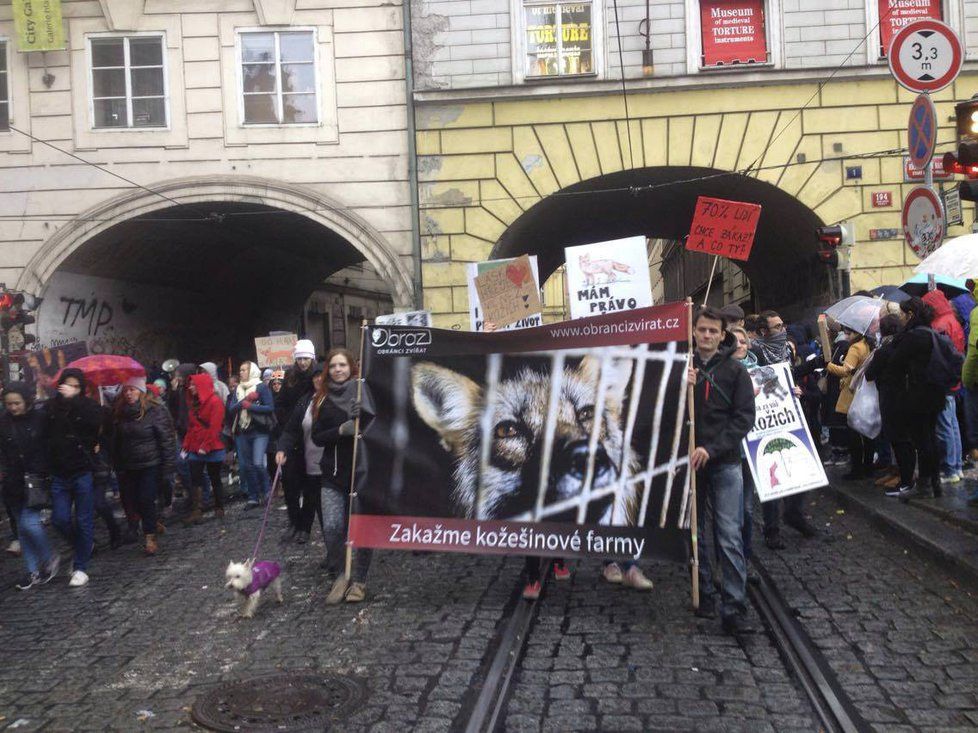 Lidé protestovali proti kožešinovým farmám.