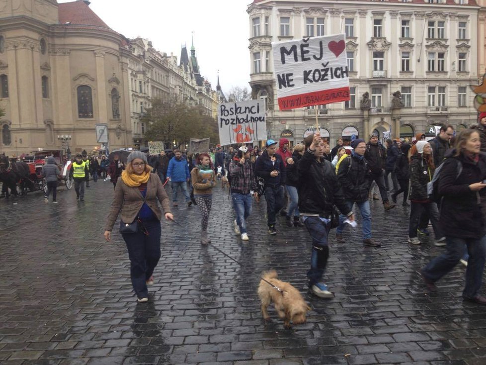 I přes nepřízeň počasí přišlo protestovat na několik stovek lidí.