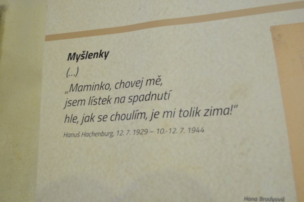 Na půdě Senátu je k vidění i výstava s názvem &#34;Motýla jsem v koncentráku neviděl&#34;. Výstava je plná kreseb dětí a citátů, které se nalezly v jejich denících