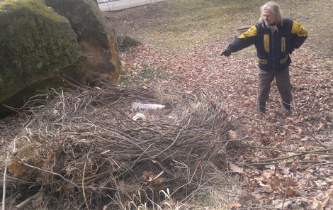 Obrovské hnízdo překvapilo správu parku i návštěvníky.