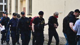 Alžířané, kteří měli znásilnit turistku v Praze, přicházejí k soudu.
