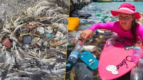 Oceány jako zdroj života? V posledních letech se z nich stala spíš gigantická smetiště. Podle nové studie v nich plave pět a čtvrt bilionu (!) kusů plastu, které dohromady váží 270 000 tun!