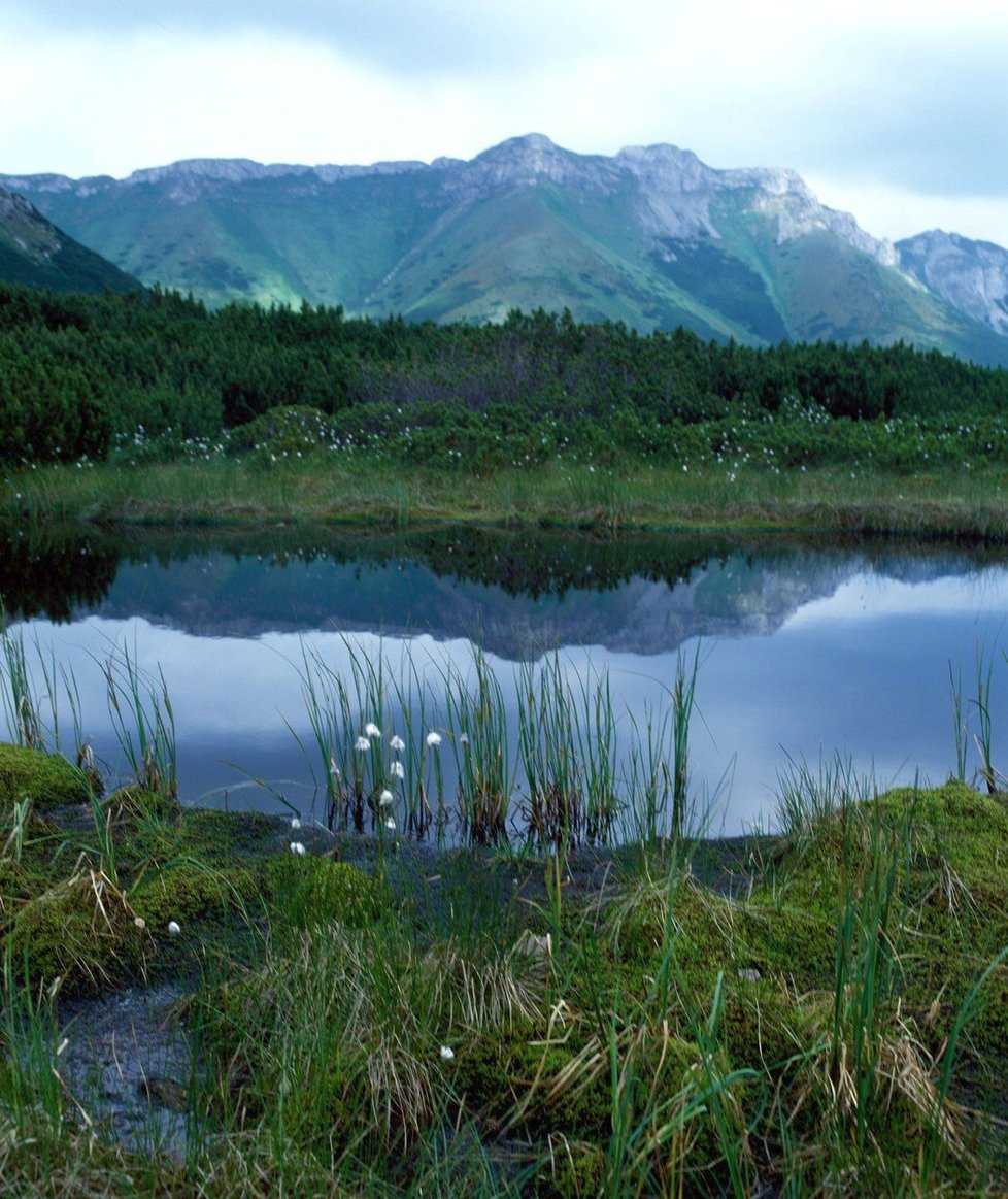 Vysoké Tatry jsou nejvyšším pohořím Slovenska i Polska.