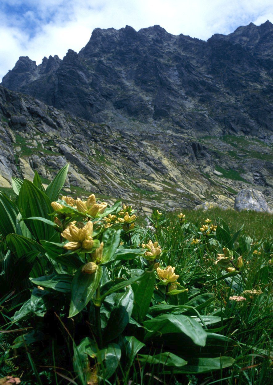 Vysoké Tatry jsou nejvyšším pohořím Slovenska i Polska.