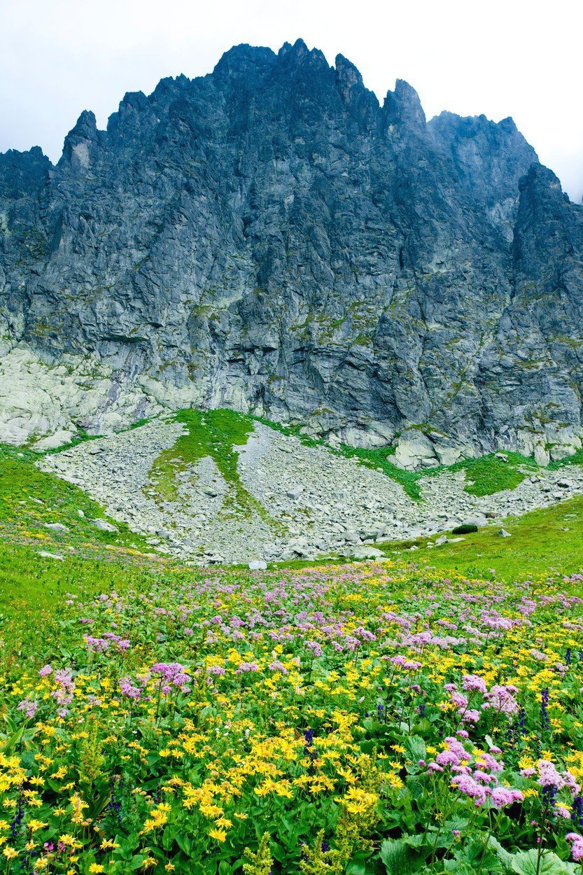 Vysoké Tatry jsou nejvyšším pohořím Slovenska i Polska.