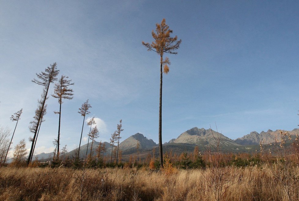 Vysoké Tatry jsou nejvyšším pohořím Slovenska i Polska.