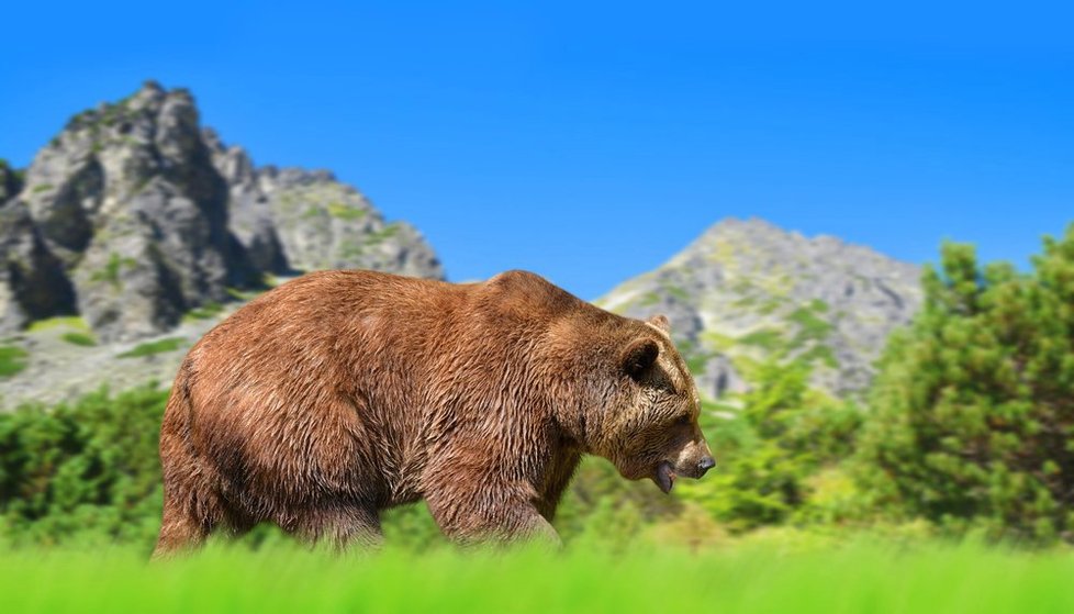 Vysoké Tatry jsou nejvyšším pohořím Slovenska i Polska.