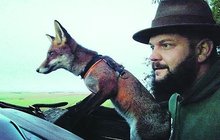 Ochočená liška Coco je zpátky doma: Na výletě zabila pět slepic