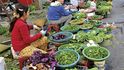 Prodej čerstvých bylinek a zeleniny v ulicích historického města Hoi An