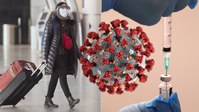 Covidový pas: Jak bude vše fungovat? A co výhody pro očkované?