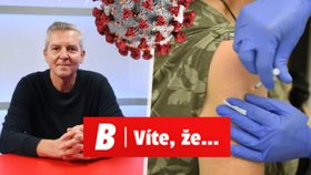 Vakcinace 4. dávkou v Česku: Kdy se nechat očkovat?