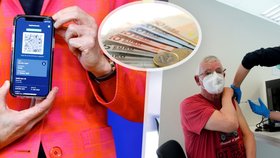 Italští podvodníci prodávají falešná potvrzení o očkování, covid pasy za 3,5 tisíce korun posílají i do zahraničí