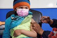 Očkování dětí do 12 let: Řada už mírný omikron prodělala, míní vědec. Obavy z mutací trvají