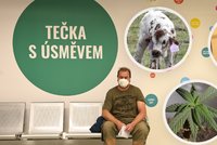 Lákání na očkování: V Česku soutěž o tenisky, v zahraničí auto, miliony, marihuana i kráva