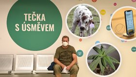 Lákání na očkování: V Česku soutěž o tenisky, v zahraničí auto, miliony, marihuana i kráva