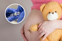 Experti utnuli dohady o očkování těhotných: Vakcínu doporučují v jakémkoli stadiu gravidity