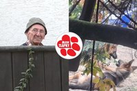 Tři psy mu odebrali, čtvrtého našli mrtvého! Stíhaný muž si přesto pořídil další
