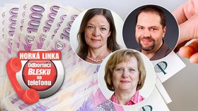 Odborníci na telefonu: Komu a jak pomůže stát?