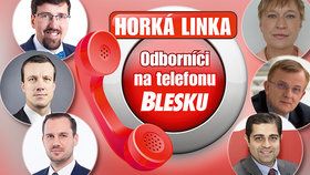 Odborníci na telefonu Blesku už v pondělí: Covid a práva zaměstnance, peníze, exekuce a podnikání