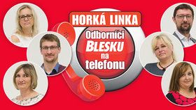 Ošetřovné, důchody i nemocenská: Jak získat peníze od státu, poradí odborníci na telefonu Blesku!