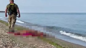Rodina se navzdory bezpečnostním opatřením koupala v Černém moři. Otce před zraky rodiny zabila exploze.