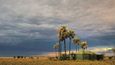 Jack&#39;s Camp, Botswana 