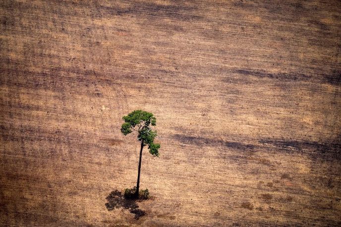 Odlesňování Amazonského pralesa v Brazílii