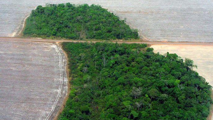 Odlesňování amazonského pralesa