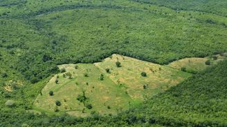 Optimismus byl předčasný, odlesňování v Amazonii opět zrychluje
