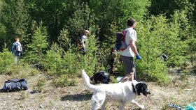 Jel po jedné z lesních cest, pravděpodobně přepadl přes řídítka a jeho záchranou se měl stát mobilní telefon, naštěstí měl v hustých hvozdech signál, sám ale nevěděl, kde přesně je.