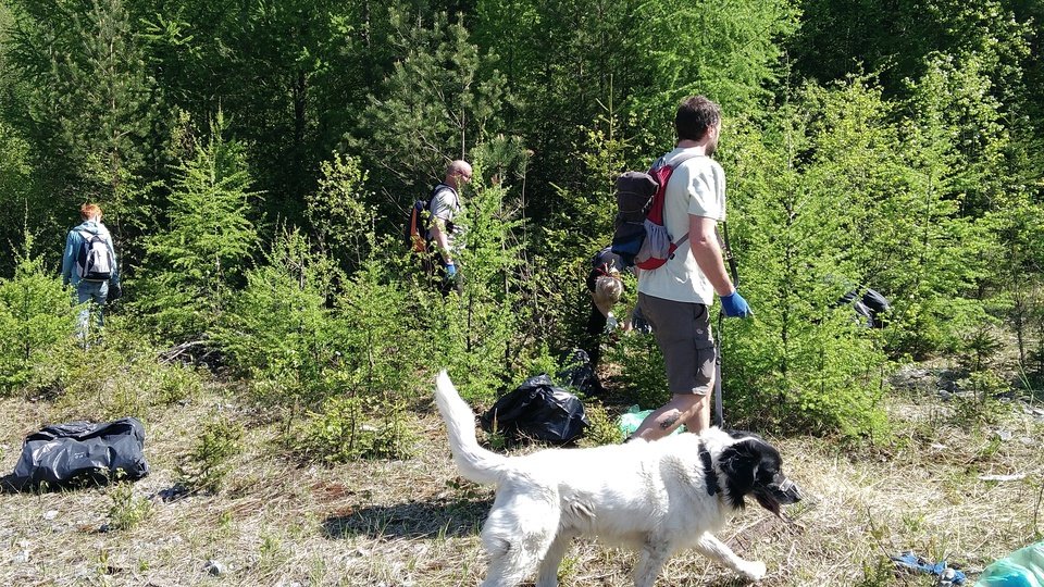 Dobrovolníci sbírají odpad v Brdech.