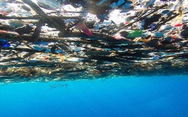 Odpad v Karibském moři.