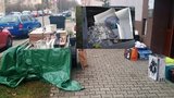 Nulová tolerance k nepořádníkům: 50 tisíc za  "divoké" vyhazování odpadků v Plzni