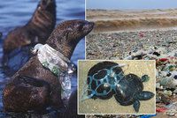 Zákaz brček, tyčinek do uší i míchátek kávy. Mayová vyhlásila válku plastům