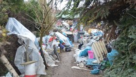 Muž na Náchodsku žije v odpadu a močí do PET lahví: Dům i zahrada jsou jako skládka