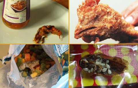 10 nejodpornějších věcí, které lidé našli v potravinách