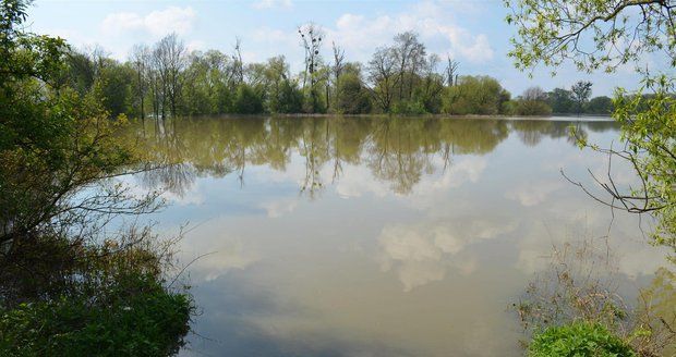 Rozvodněná Odra na Ostravsku