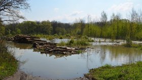 Rozvodněná Odra na Ostravsku