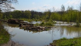 Rozvodněná Odra na Ostravsku