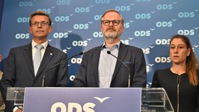 Volby ONLINE: „Konec šuškandě.“ Decroix odmítla zradu na voličích, ODS prý s ANO jít nechce
