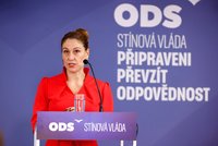 Sněmovní šachy: Exministryně Decroix končí v evropském výboru